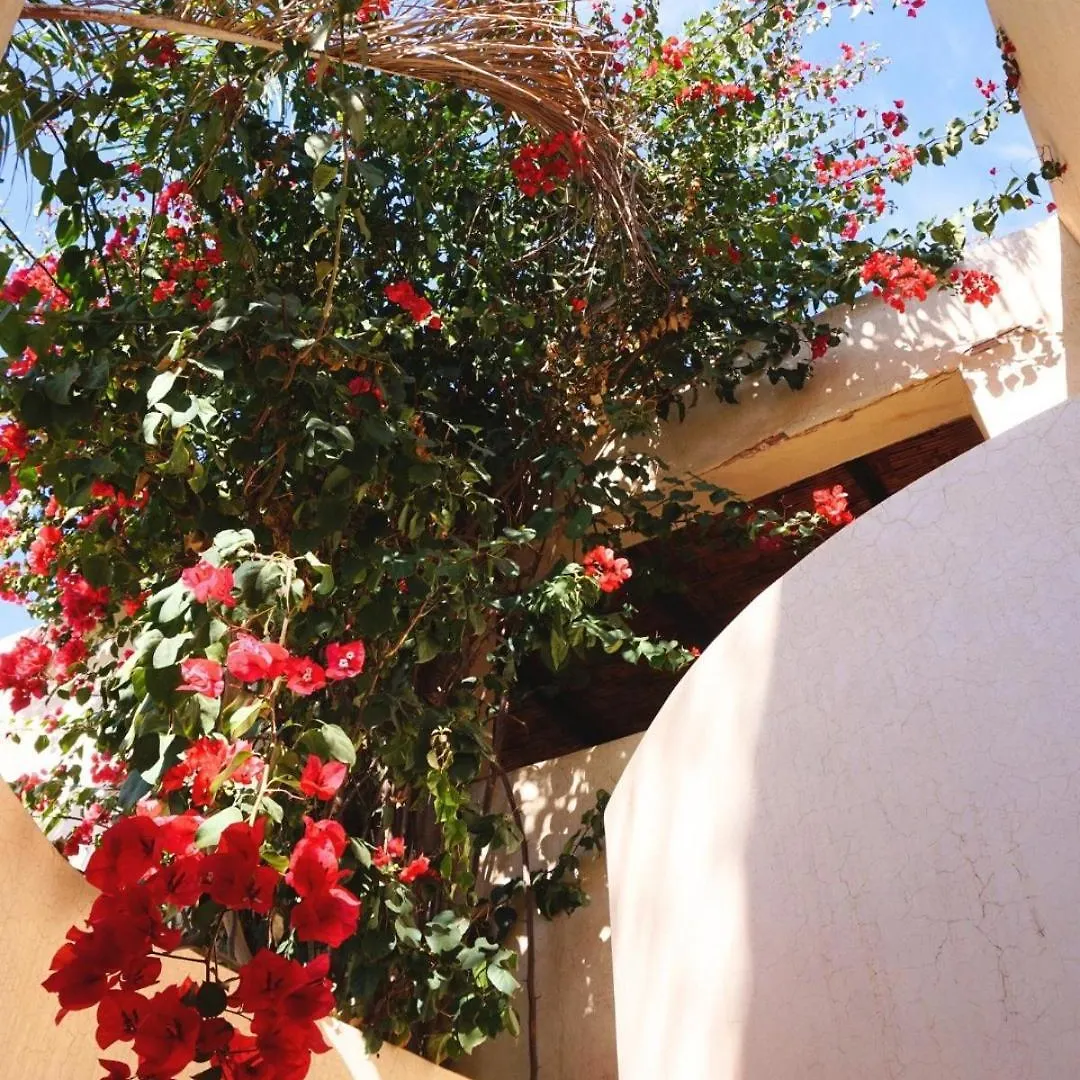 Run Villa Marine, Elegant Private Villa In Marrakech With Heated Pool Option Marrakesh