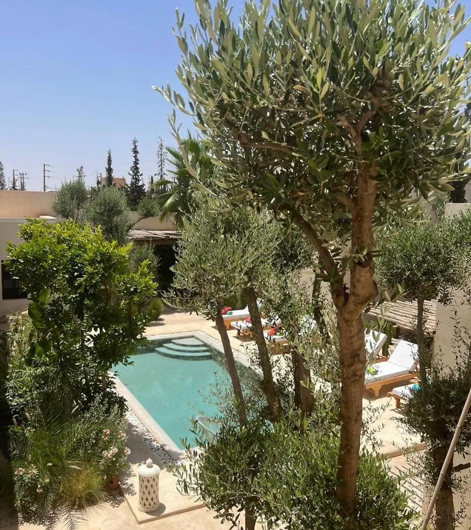 Run Villa Marine, Elegant Private Villa In Marrakech With Heated Pool Option マラケシュ