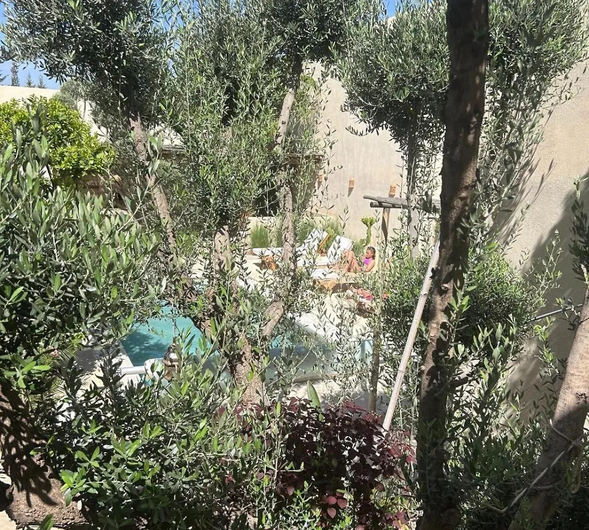 Run Villa Marine, Elegant Private Villa In Marrakech With Heated Pool Option マラケシュ モロッコ