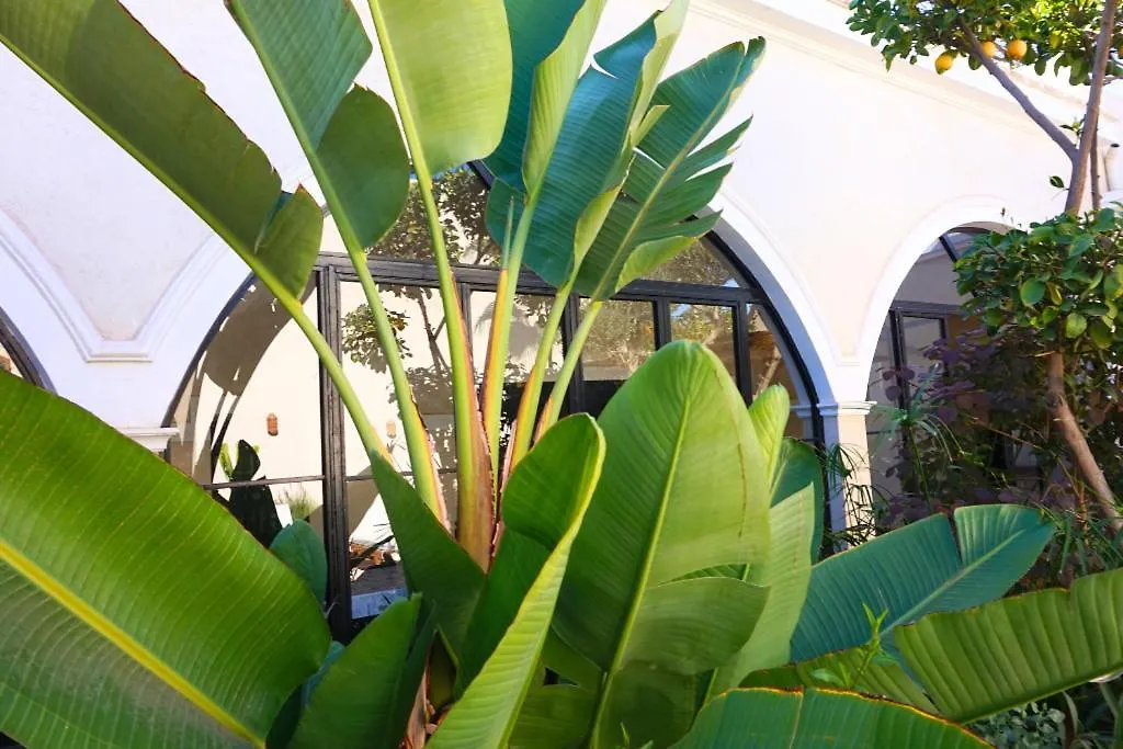 Run Villa Marine, Elegant Private Villa In Marrakech With Heated Pool Option Marrakesh 0*,