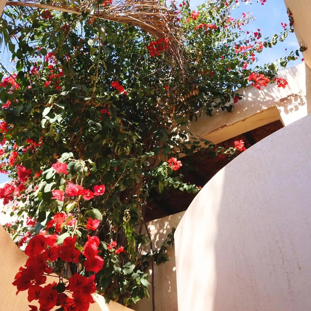 Run Villa Marine, Elegant Private Villa In Marrakech With Heated Pool Option Marrákes